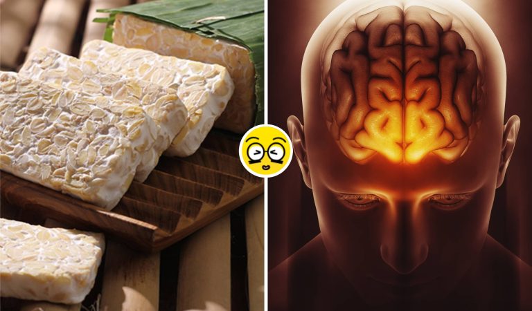 Tempe Ternyata Superfood Otak! Riset Ungkap Bisa Cegah Alzheimer Secara Alami